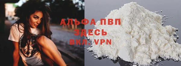 эйфоретик Майский