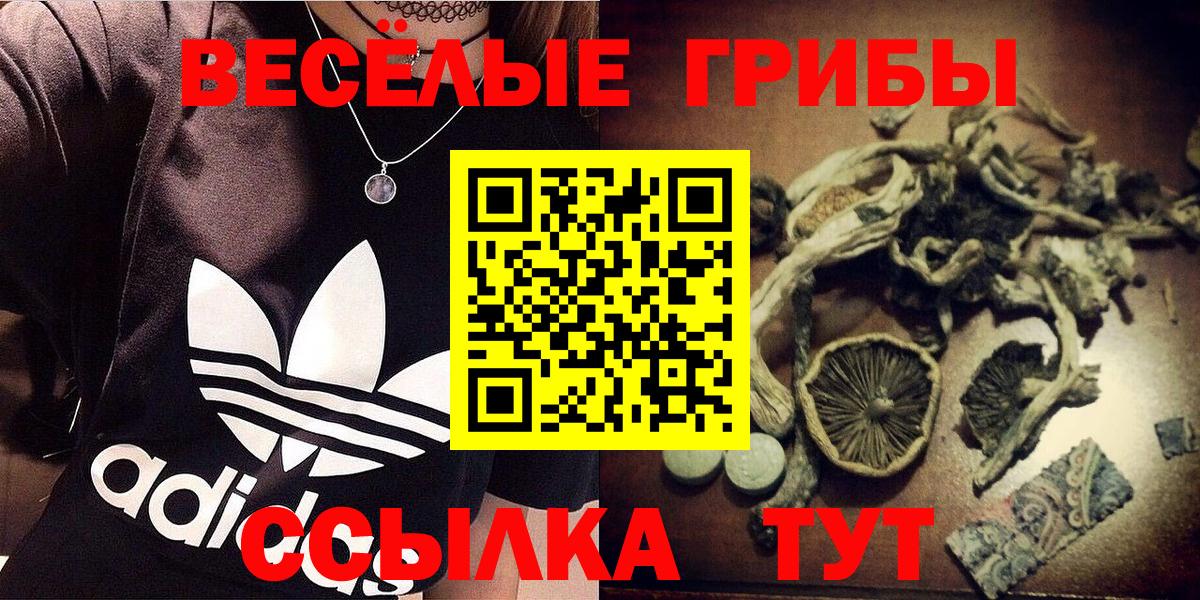 Симферополь  Галлюциногенные грибы Magic Shrooms  Вход с VPN 