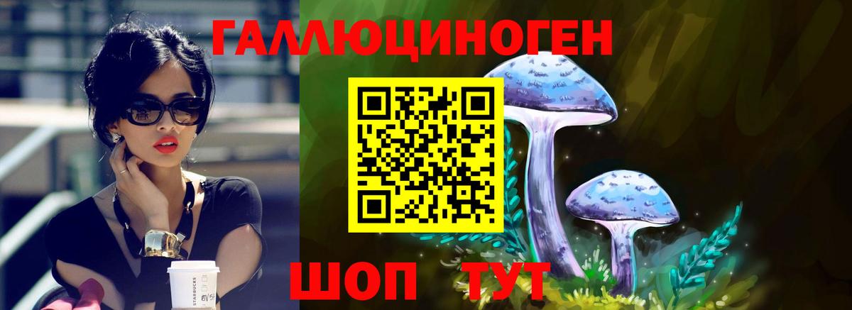 Псилоцибиновые грибы Psilocybine cubensis  Симферополь  где найти   Галлюциногенные грибы Magic Shrooms 